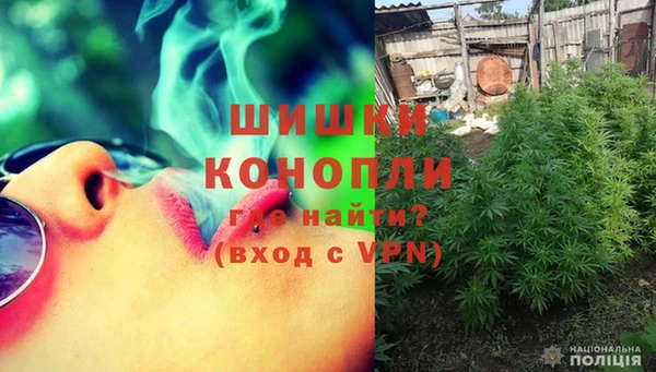 дживик Абаза