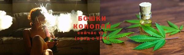 дживик Абаза