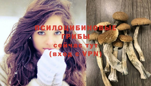 прущие грибы Карталы